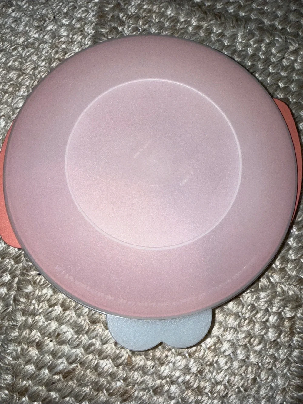 Tupperware Coral Separated Bowl